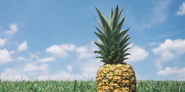 pineapplesupplyco/pixabay true fruits